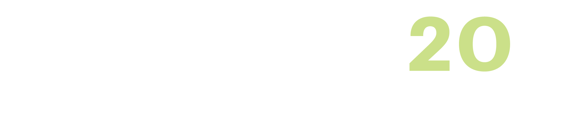 metizoft 20 years logo - white and green